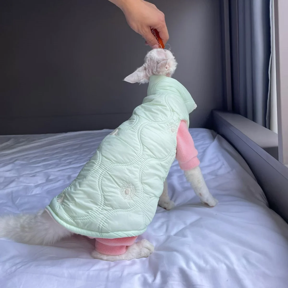 Winter Thick Fleece Windproof Jacket for Sphynx Cat Warm Cute Green High-Neck Button Coat for Kittens Loungewear For Devon Rex