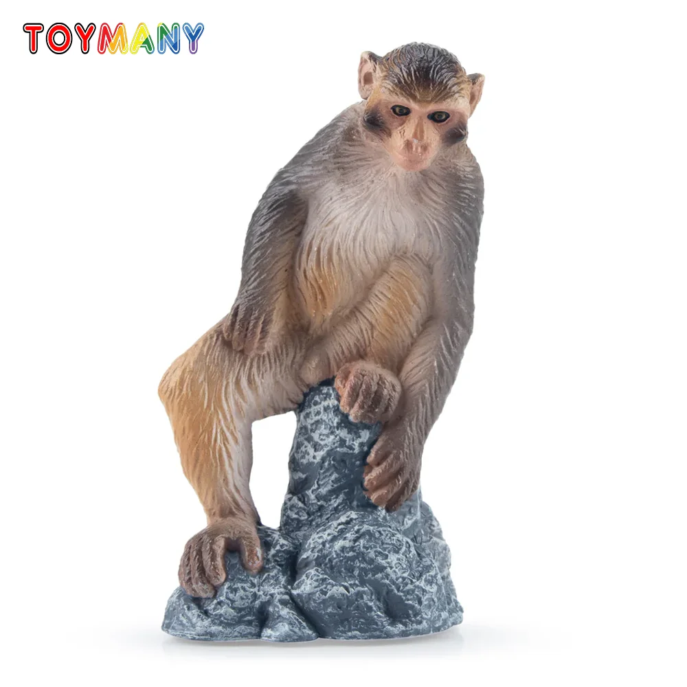

Toymany Simulation Macaque Monkey Primate Animal Model Toy Mini Figures Dolls Action Figurines Toys Children Gift Cake Decora