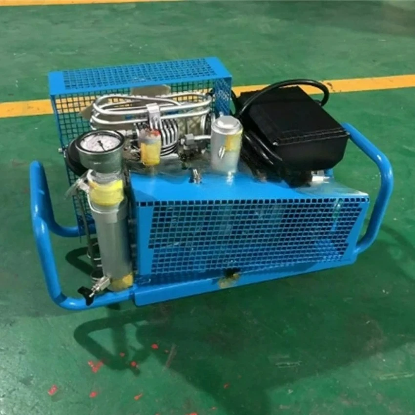 

Customizable High Pressure Compressor Air Compressor