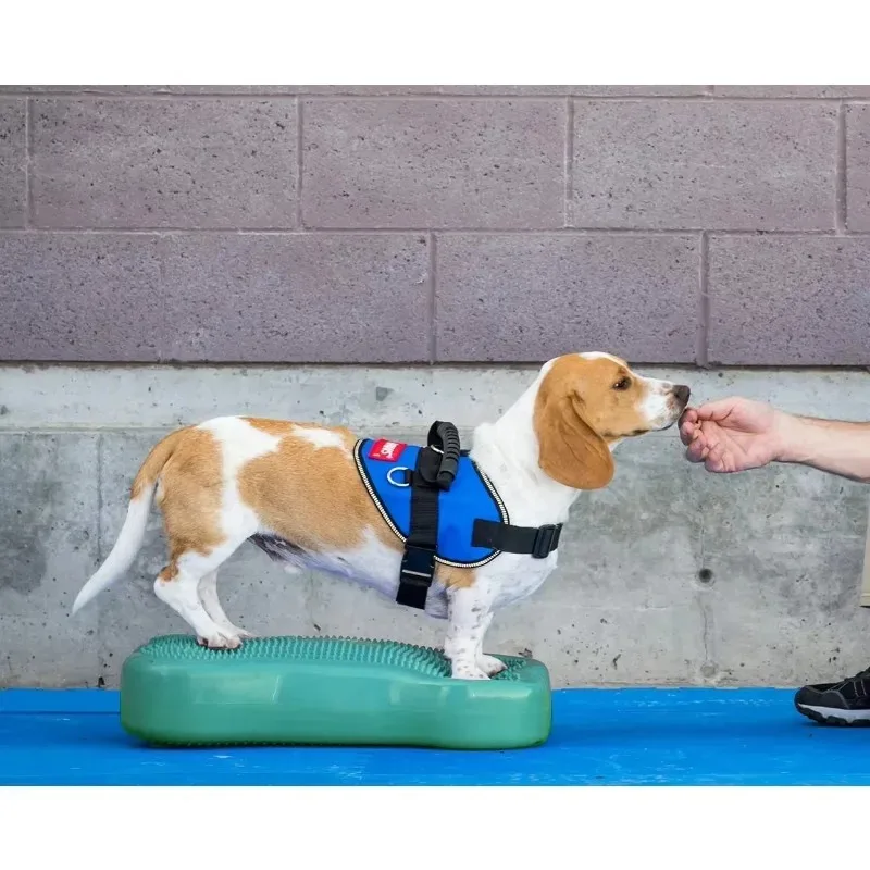 Ball Dynamics Balance Training Device for Dog Training and Fit dog agility pets acessorios artículos para mascotas
