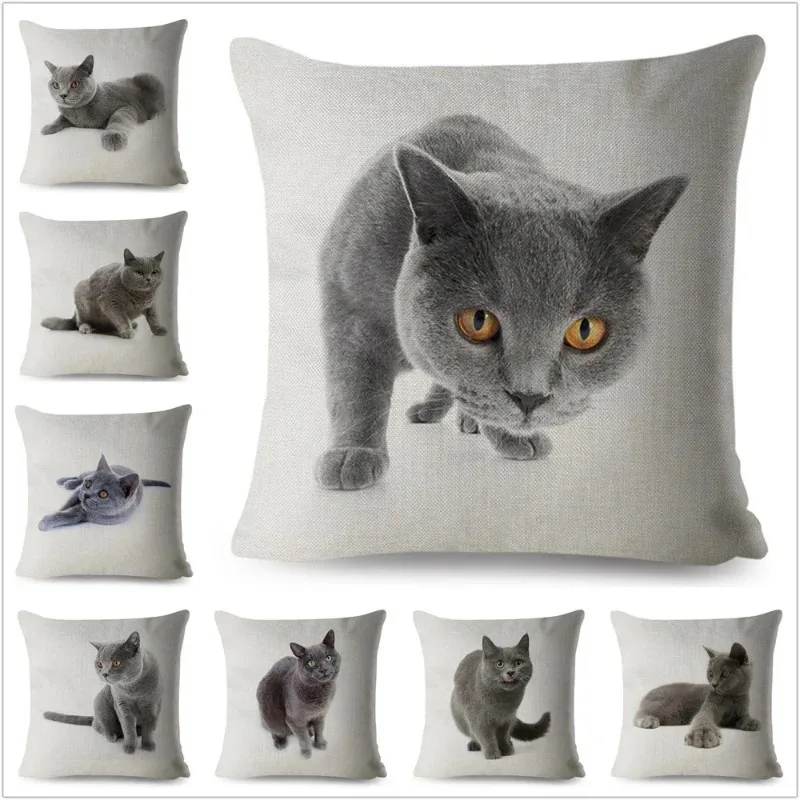 Cute British Shorthair Cat Print Throw Pillow Cover 45*45cm Square Cushion Covers Linen Pillow Case Car Home Decor Pillows Cases