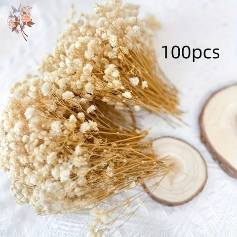 100pcs Mini Dried Baby's Breath Flowers Natural Dry Flower Gypsophila  DIY Aromatherapy  Valentine Wedding Party Photo Prop Deco