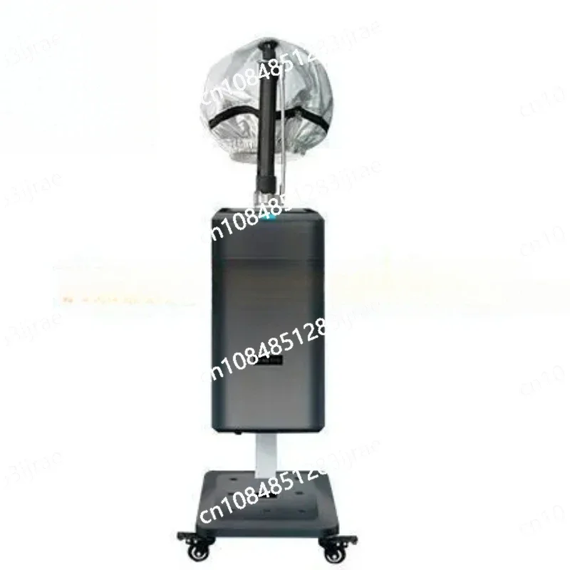 Top Professional Cap Bonnet Ionic Micro Mist Micromist Hair Salon Steamer With Hari SPA Care Treatment