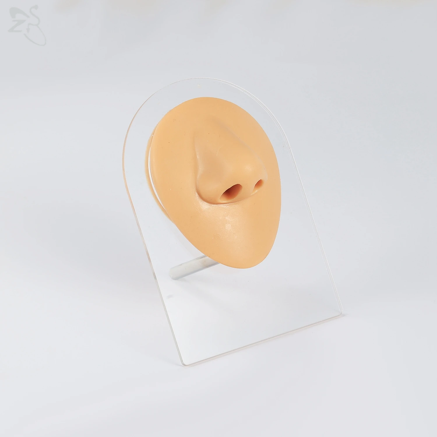 AOEDEJ 1 Piece Soft Flexible Silicone Flesh Color Human Body Models Puncture Display Tool Nose Ear Mouth Tongue Wearing Tools