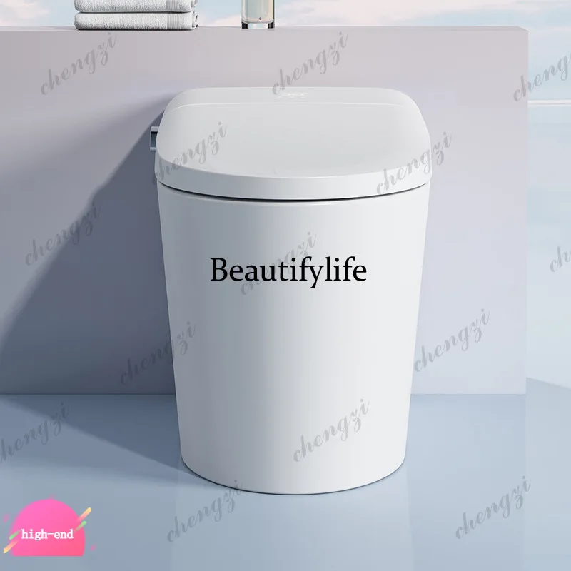 R134 Source Factory Wholesale New Smart Toilet Hotel Project Smart Toilet Jet Siphon Multifunctional Toilet