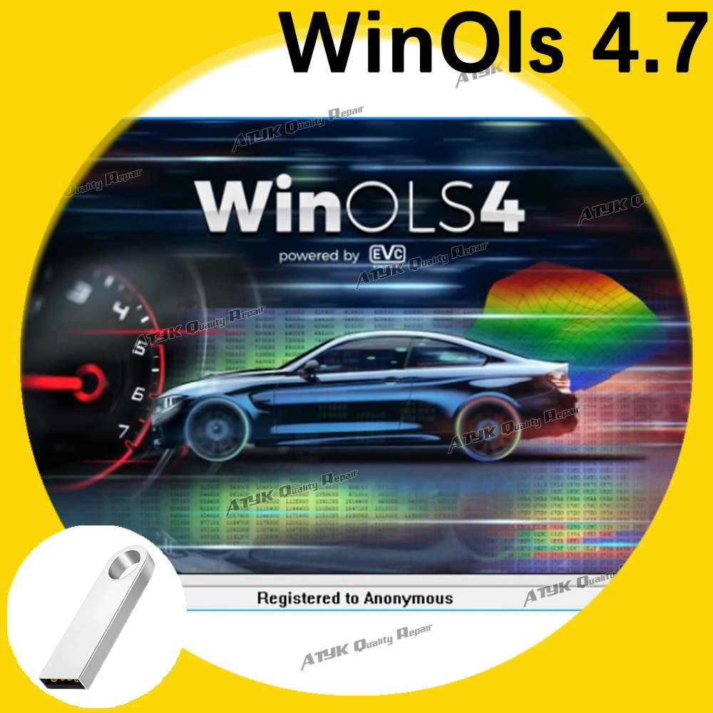 Winols 4.7 inspection tools Automobile Maintenance Diagnostic interface Repair interface winols scanner automotriz Scanning tool