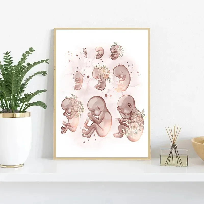 Gynecology Female Anatomy Fertility Pregnancy Wall Art Minimalist Print Canvas Painting Posters for Bedroom Modern Home Decor
