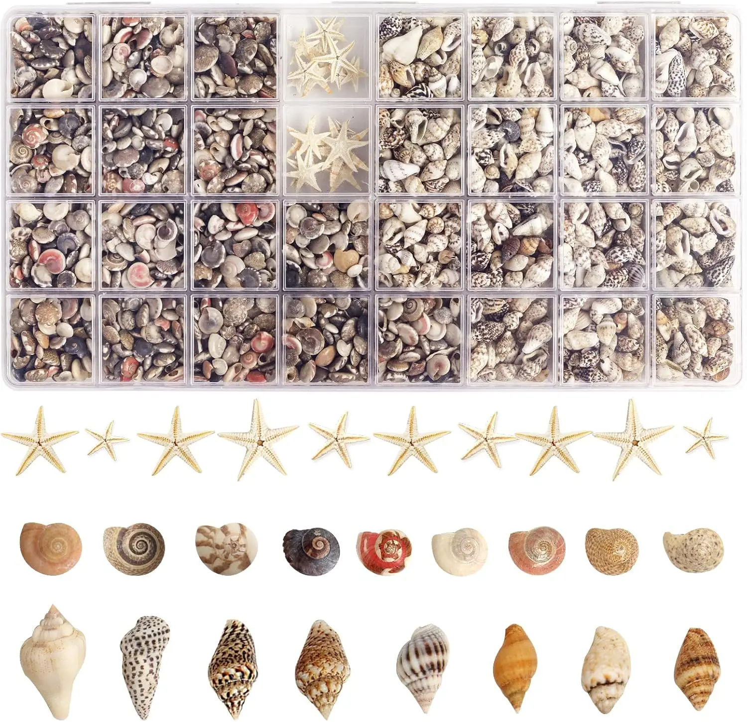 

PCS Tiny Sea Shells Mini Shells for Crafting & 20 Small Starfish for Fish Tank and Vase Filler,Home Decorations Candle Decor