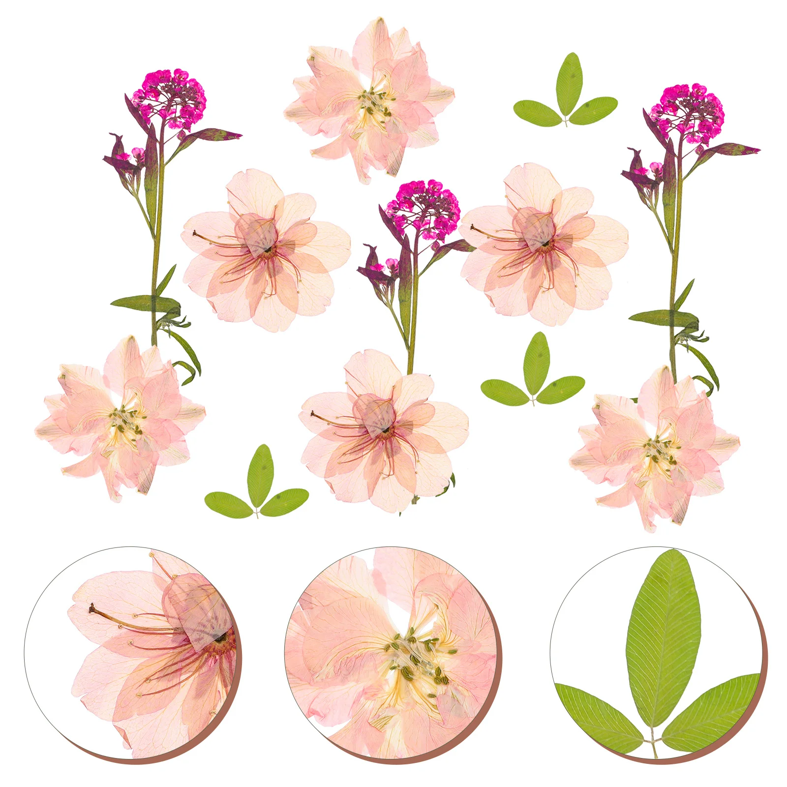 

12Pcs Natural Dried Flowers DIY Handcraft Material Pressed Flowers for Resin Jewelry Bath Decor DIY Craft Material