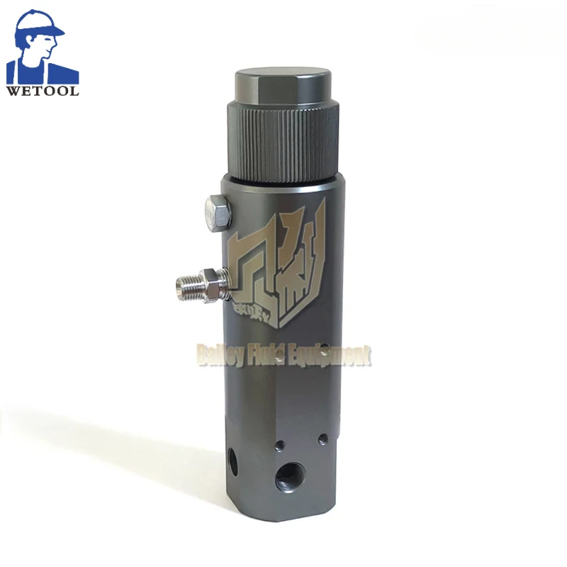 

High Quality Airless Paint Spraying Filter 15E284 for GRC Airless Sprayer 7900