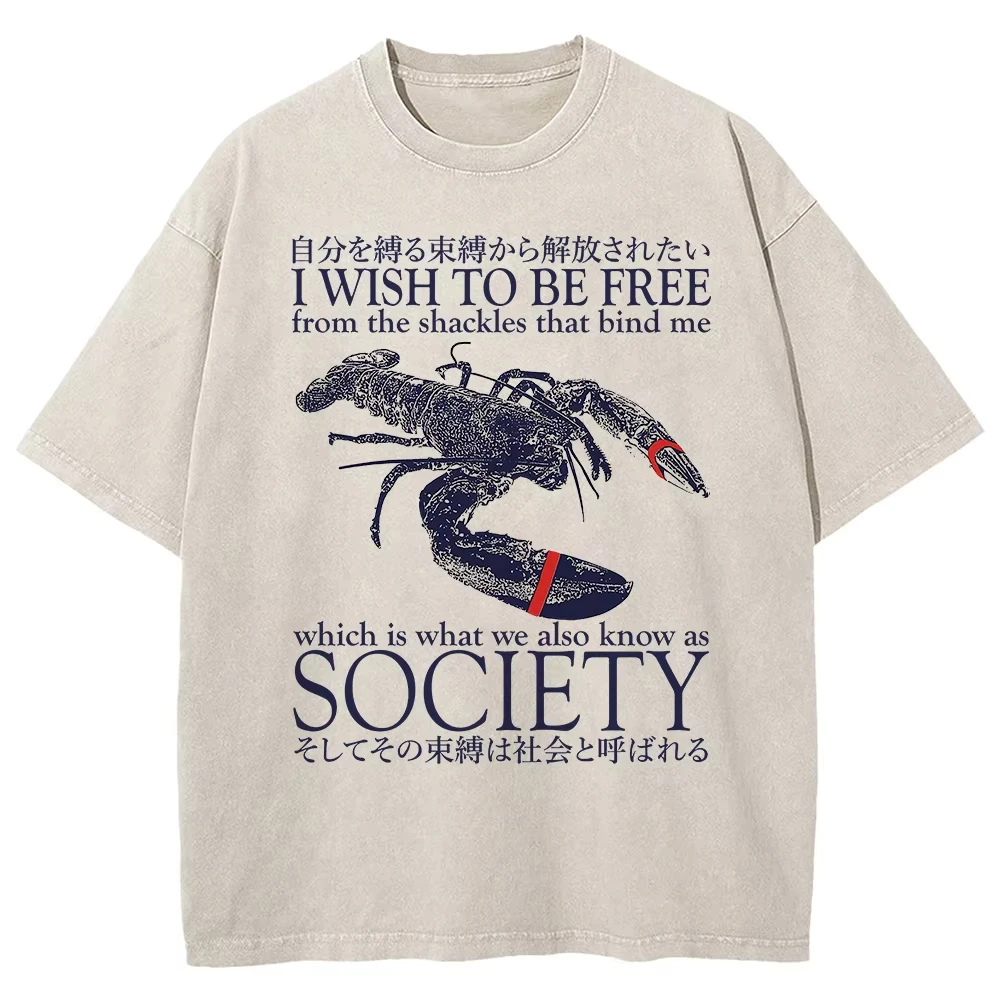 

Футболка из 100% хлопка с принтом «I Wish To Be Free Lobster», винтажный японский стиль, забавный принт с лягушкой, мужская/женская футболка оверсайз, с эффектом минеральной стирки