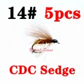 CDC sedge