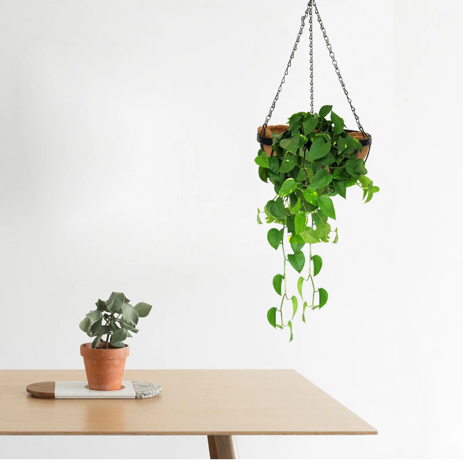 Coconut Shred Hanging Flower Pot Basket – Durable Indoor Outdoor Balcony Planter for Ferns, Succulents & Garden Decor