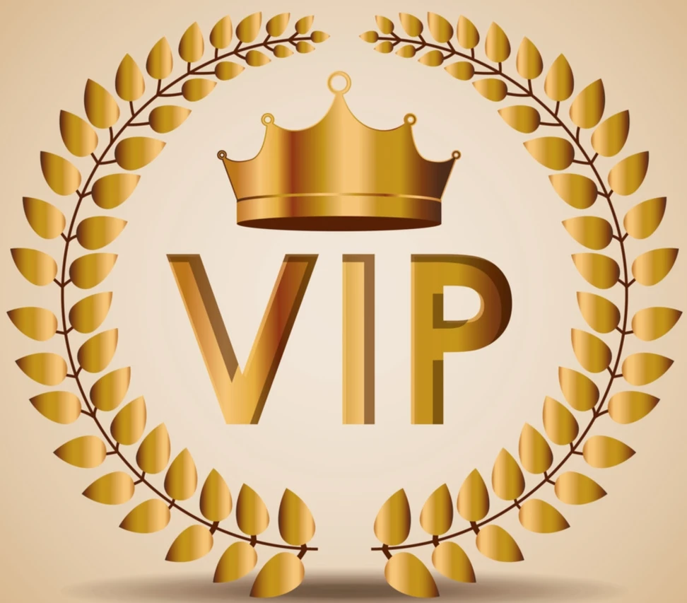 

New VIP customized product 28