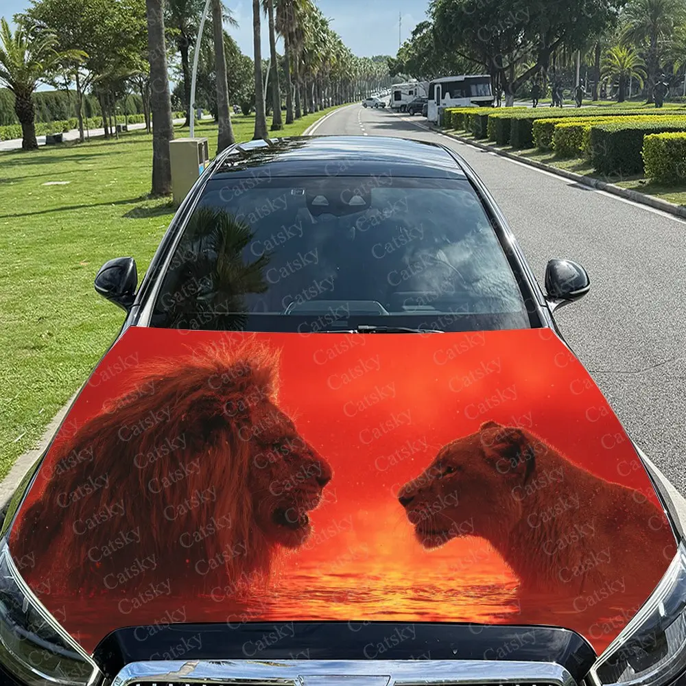 Lion Couple in Fiery Red Sunset Car Hood Stickers - Self-Adhesive, Waterproof and Durable Vinyl Wrap, Decorate And Protect Your