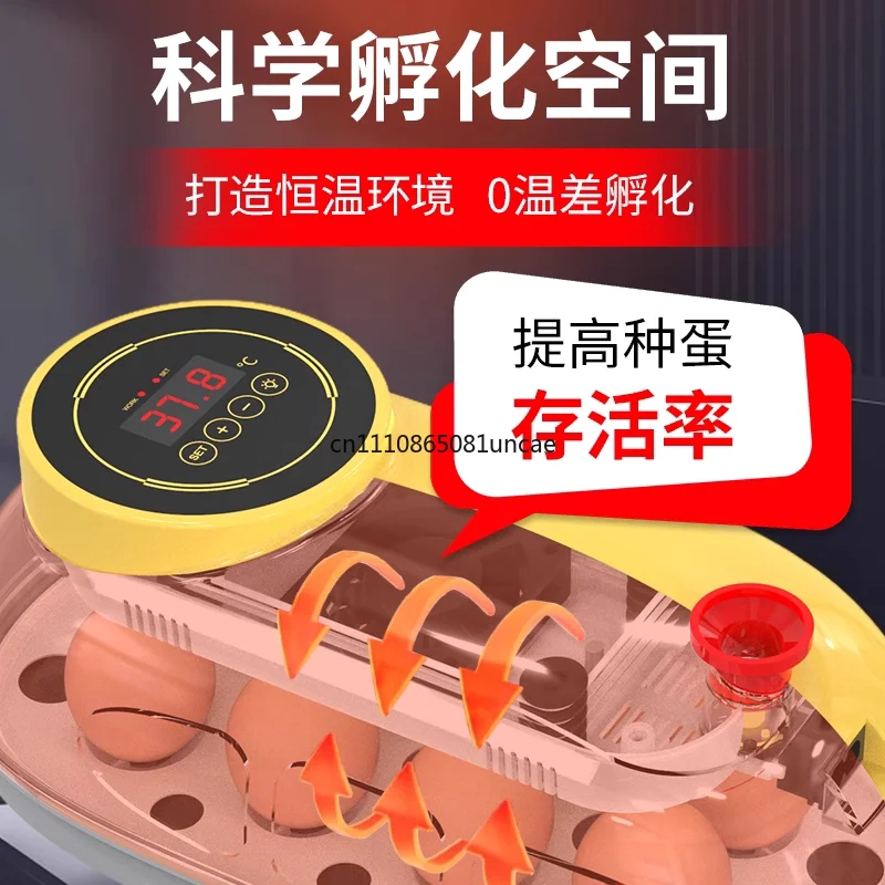 small-household-automatic-incubator-chick-rutin-chicken-intelligent-incubator-water-bed-automatic-wild-goose-incubator