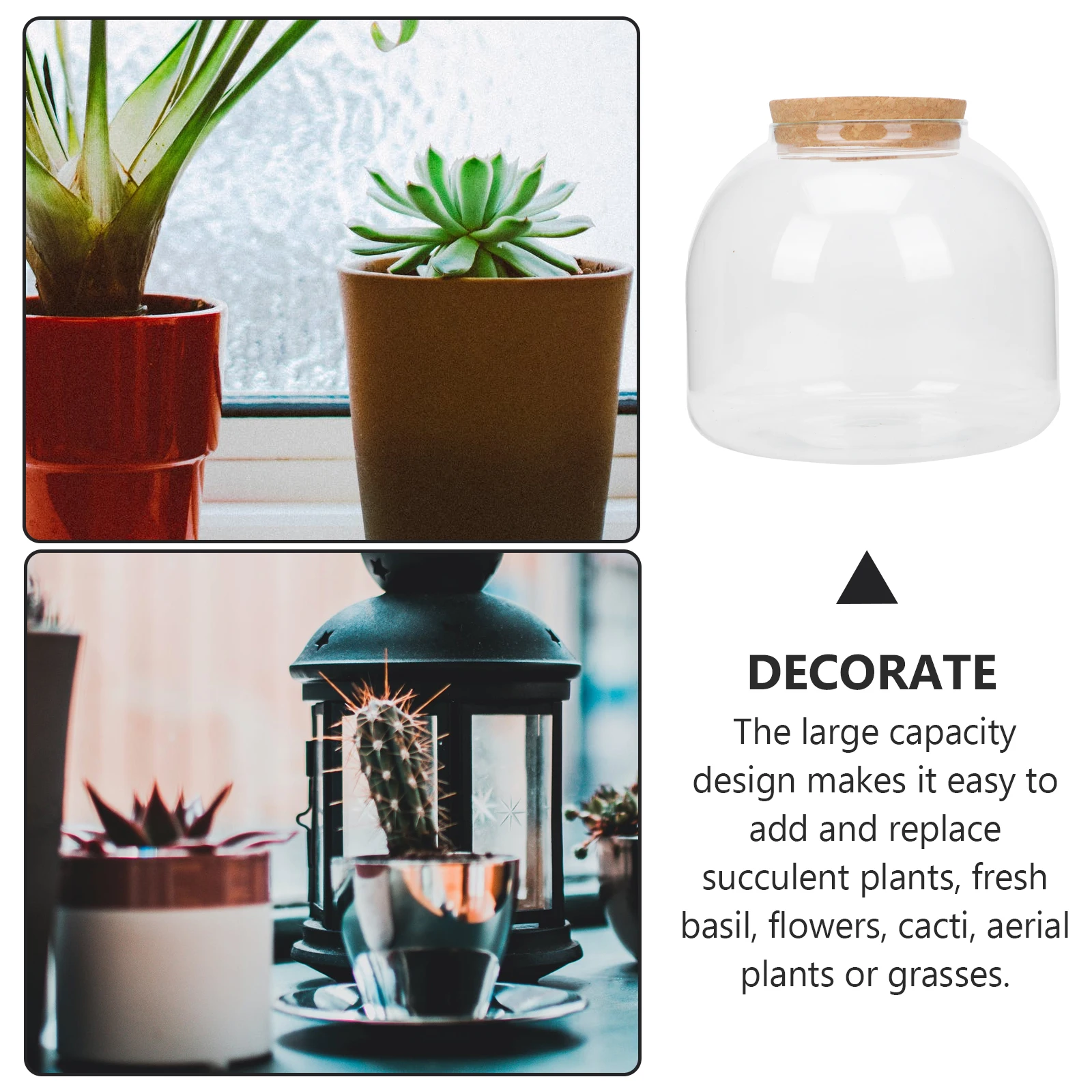 

Micro Landscape Ecological Bottle Glass Planter Terrarium Container Smooth Design Clear Storage Vase Decorative Microlandscape