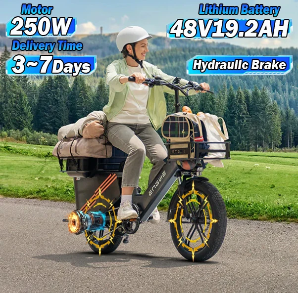 ENGWE Electric Bicycle 250W Powerful Motor 48V19.2AH Lithium Battery Hydraulic Brake E-bike City 20-Inch Tire Snow Electric Bike