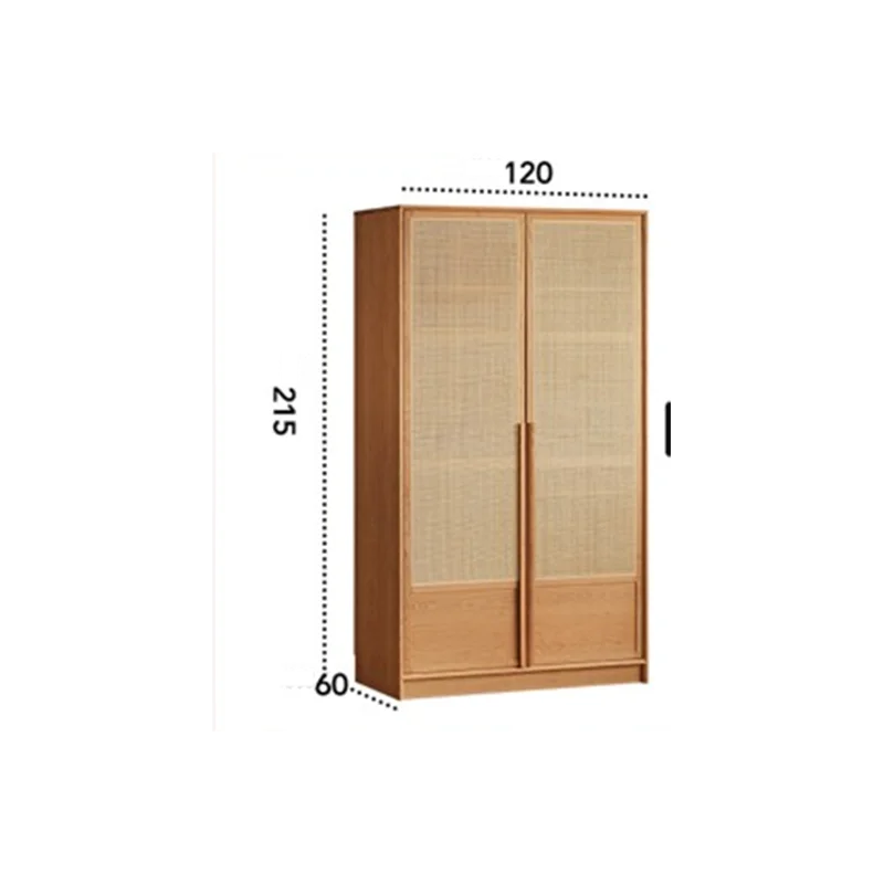 Stackable Dehumidifier Wardrobes Rattan Interior Large Rack Storage Closet Organizer Clothes Girls  Furniture