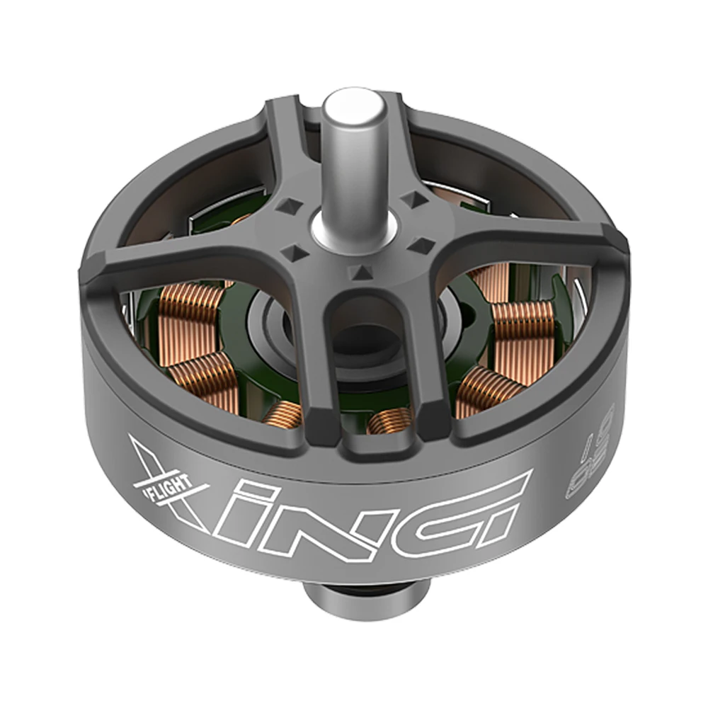 IFlight XING 1002 19000KV/ 22000KV Bürstenloser Motor 2,4g für FPV Freestyle 75mm Tinywhoop Drohnen DIY Teile