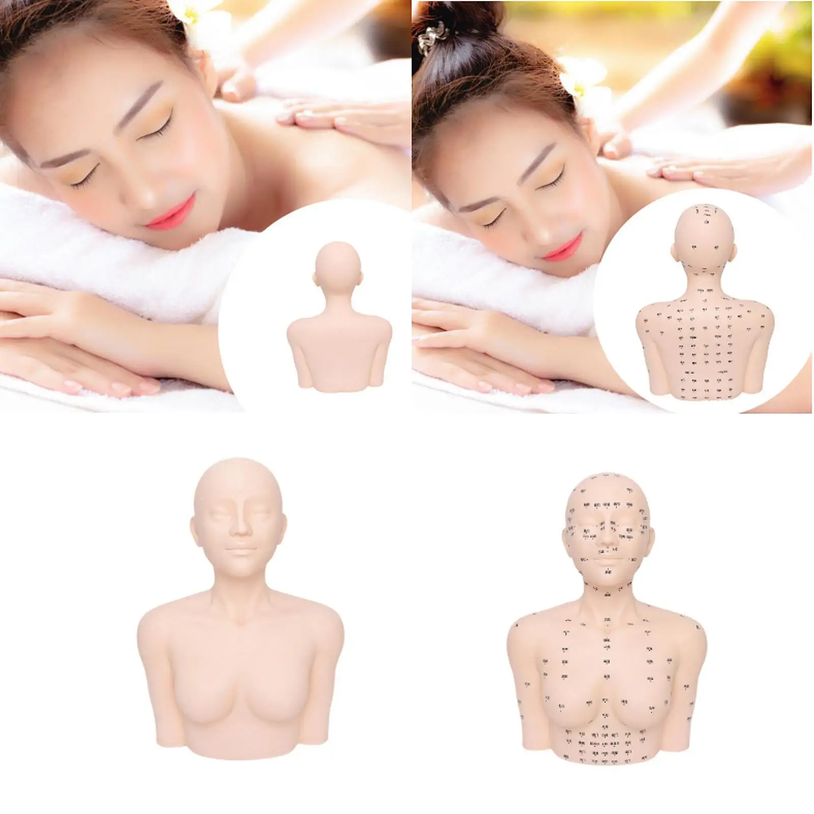 تدليك عارضة أزياء رئيس التجميل نموذج الممارسة للتدريب على تدليك التمريض