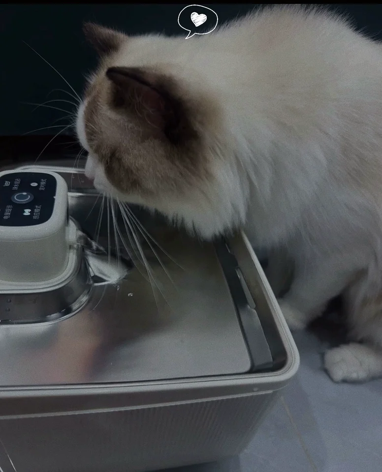 For Wireless Automatic Circulation Cat Water Fountain, Battery Powered Flowing Water Pet Drinking Dispenser, No Plug Required