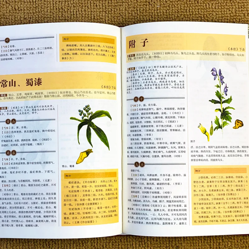 คลาสสิกการแพทย์แผนจีน: บทสรุปของ Materia Medica, Huangdi Neijing, Shennong Bencao Jing