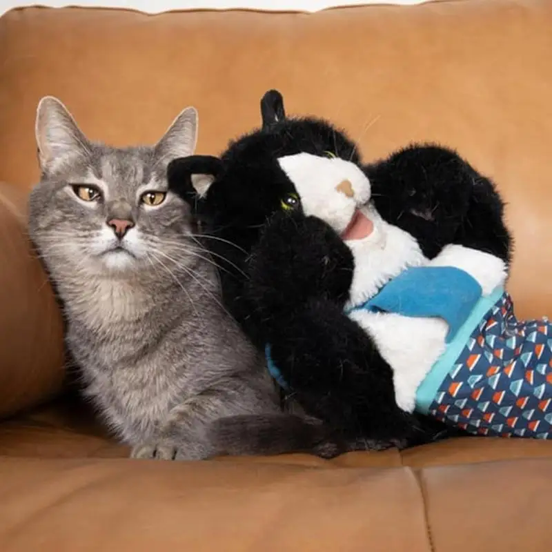 หุ่นแมวนักมวยปล้ํามวยปล้ําถุงมือนิ้วมือ Story Puppet Soft Plush Cat มวยปล้ําของเล่นสัตว์ถุงมือมือ Interactive เล่นของเล่น