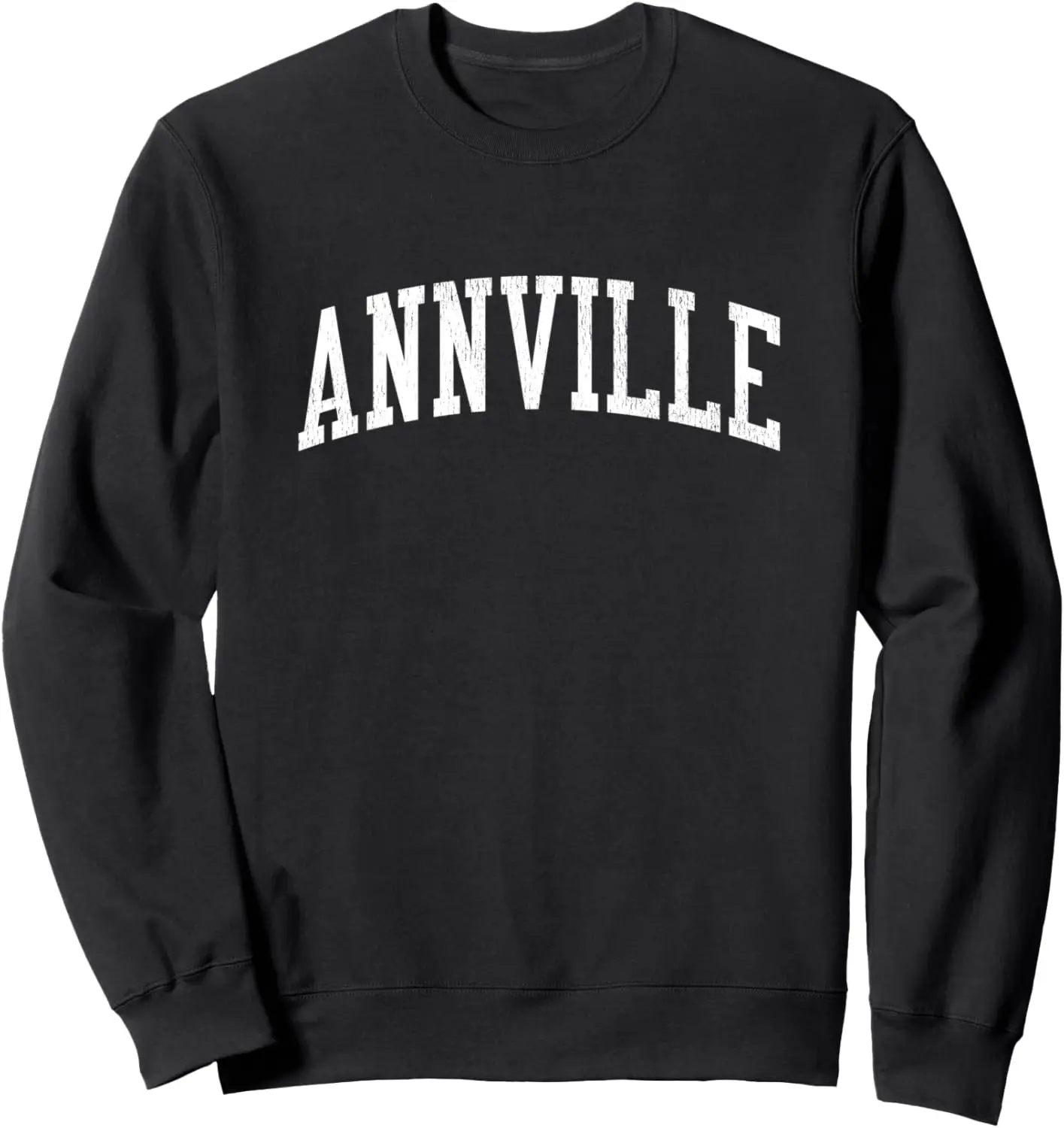

Винтажная спортивная толстовка Annville PA JS02