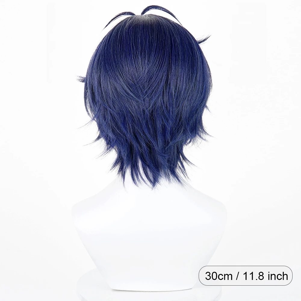 Picture 4: Short Straight Synthetic Wig Anime Game Cosplay Fluffy Blue Purple Wig Heat Resistant for Daily Party