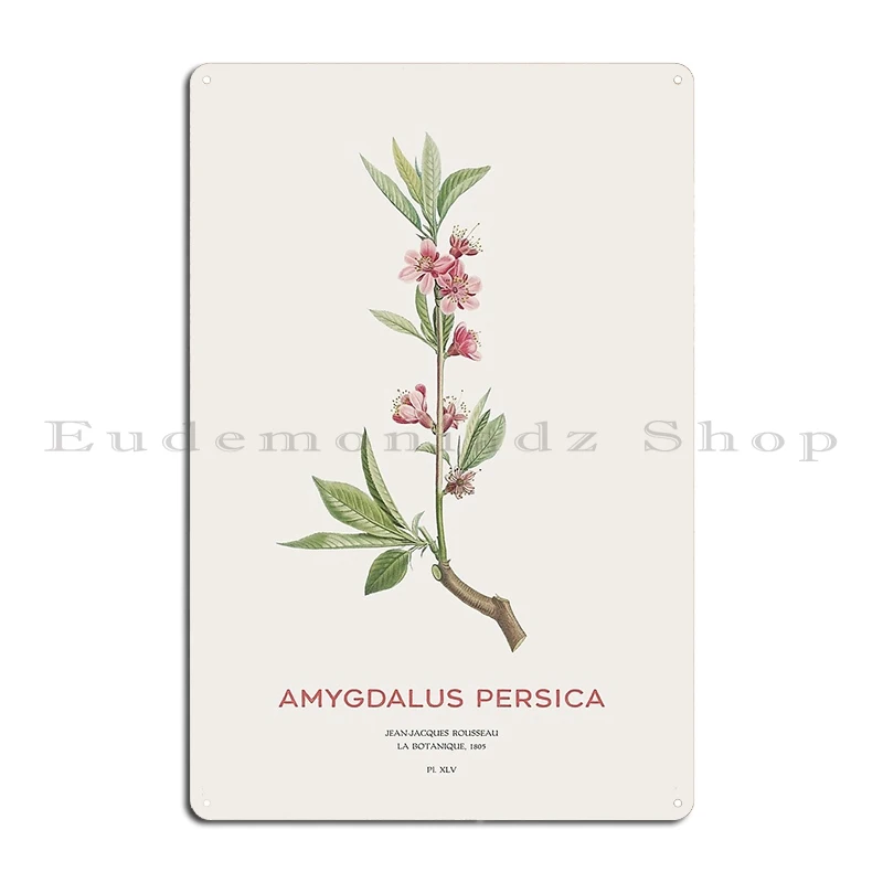 Peach Flowers Or Amygdalus Persica Metal Sign Wall Decor Wall Plaque Home Custom Kitchen Tin Sign Poster