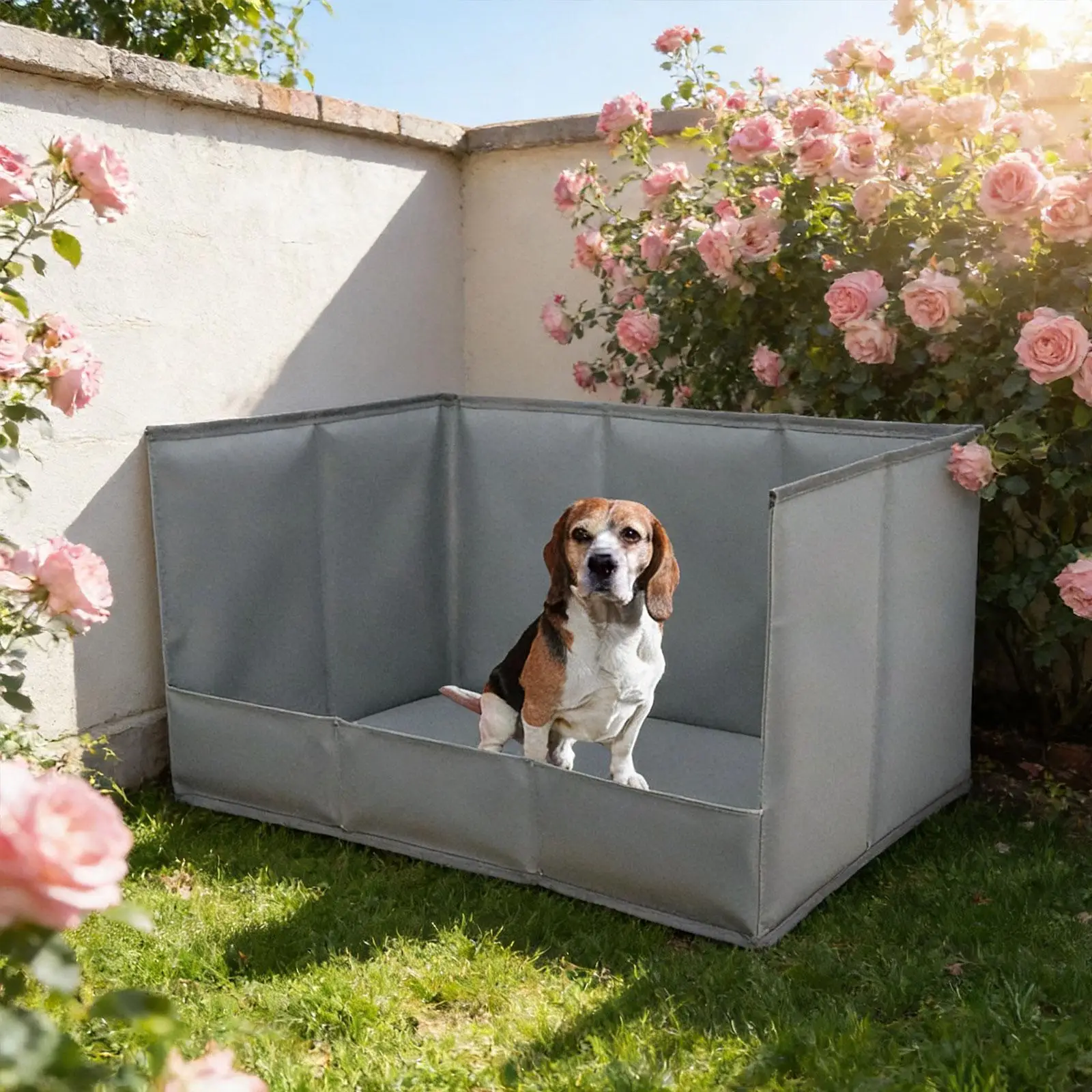 Plateau de pot multifonctionnel pour chien, avec mur de pipi, pliable, résistant aux éclaboussures, plateau de toilette d'intérieur pour petits, moyens et grands chiens