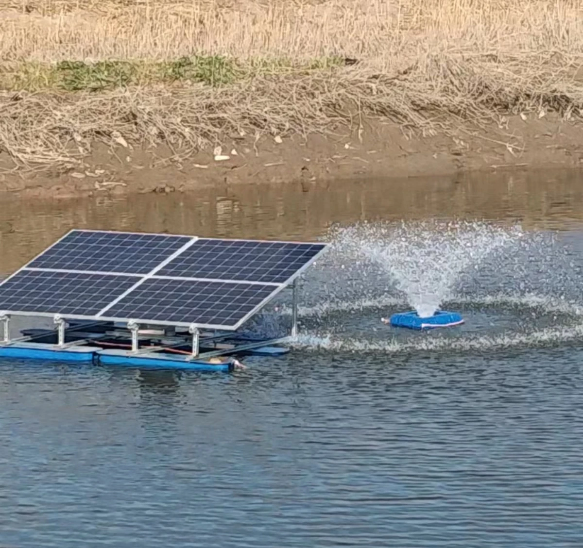 Yüzey Tipi Güneş Paneli 1,5 kW - Solar Pool Pump 48V Dc incelemesi ve fiyatı