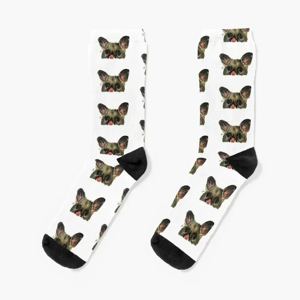 

Australian Possum Watercolour Socks short retro Thermal man winter funny gift Woman Socks Men's