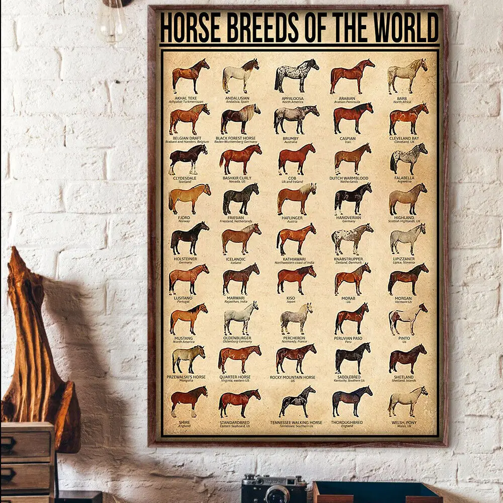 Horse Breeds Of The World Horses Care Knowledge Silk Poster Home Decorative Wall Painting