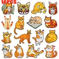 16PCS