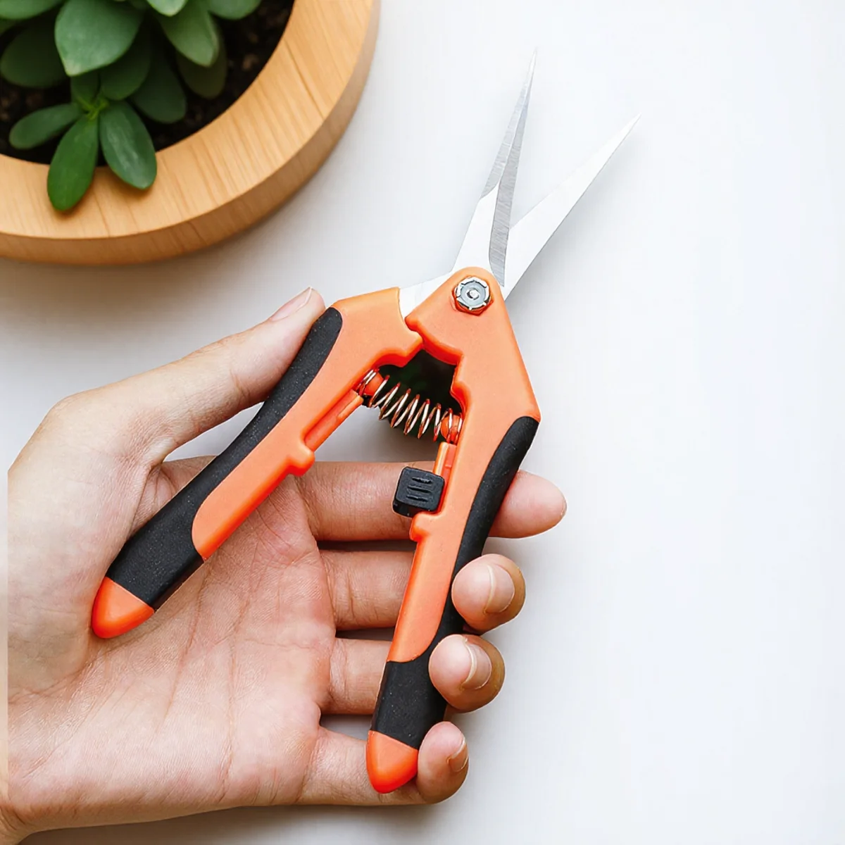 Садовые прецизионные ножницы для обрезки, ручные ножницы для обрезки бонсай, инструмент для сбора фруктов, инструмент для прополки