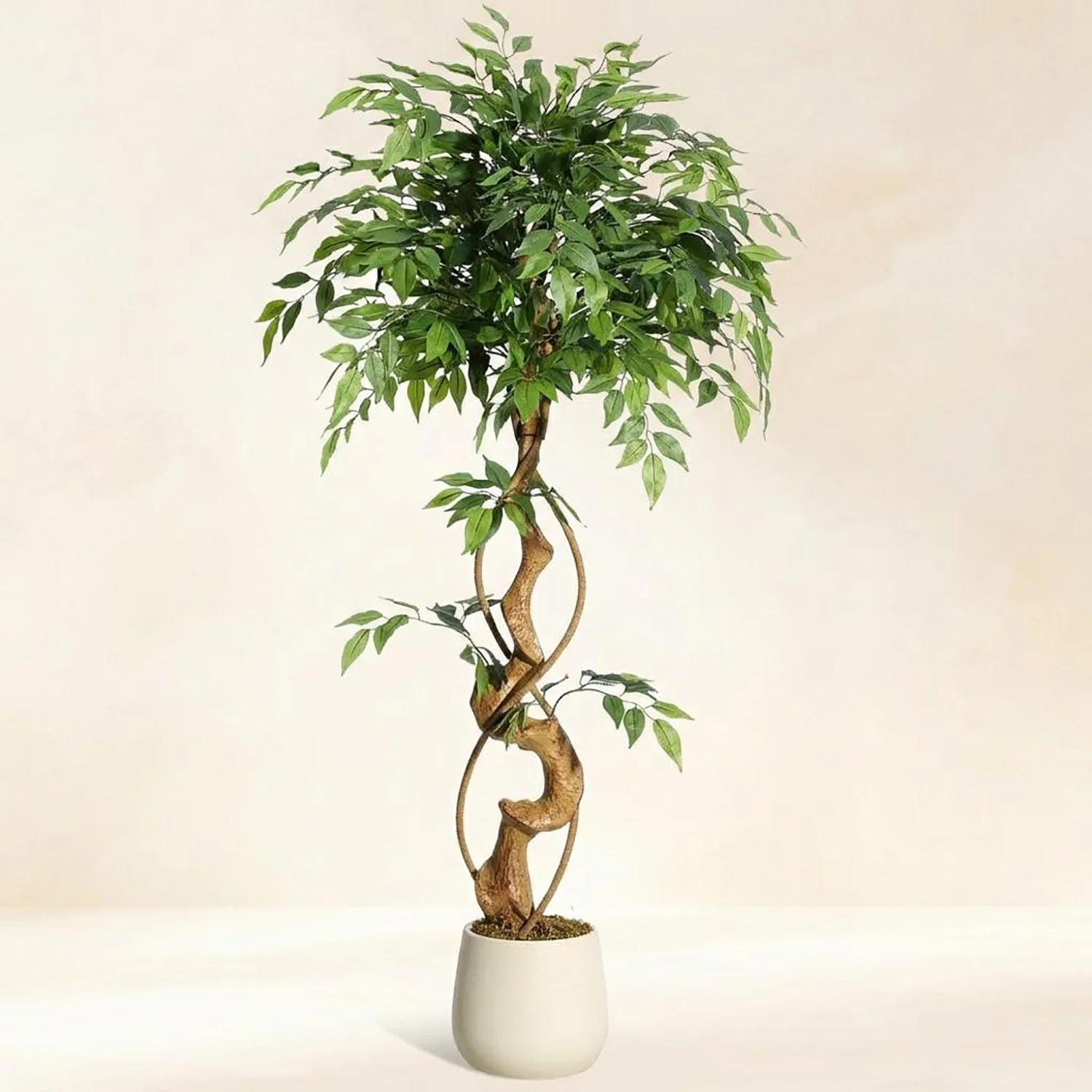 Realistischer künstlicher Ficusbaum mit gebogenem Stamm, lebensechte Kunstseidenpflanze im weißen Topf, dekoratives Innengrün für Zuhause und Büro. – Detail 11