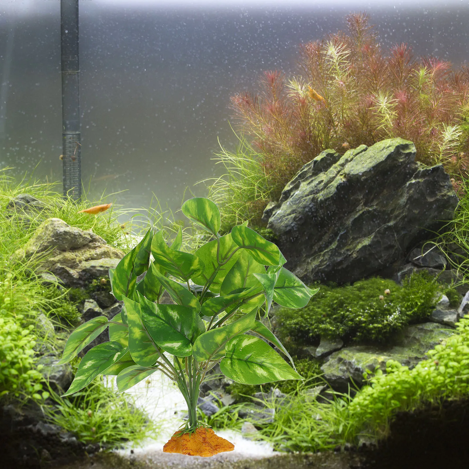 

Artificial Terrarium Plants Realistic Bonsai Durable Safe Material Reptile Habitat Decoration Bearded Dragon Tank Accessories