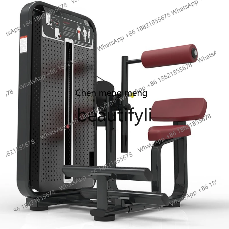 

Seated Back Press Trainer Seated Waist Back Press Indoor Fitness Equipment Manufacturer