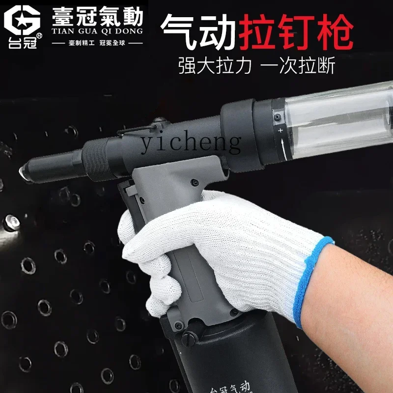 Рисунок 5 - Пневматический заклепочный пистолет для рисования