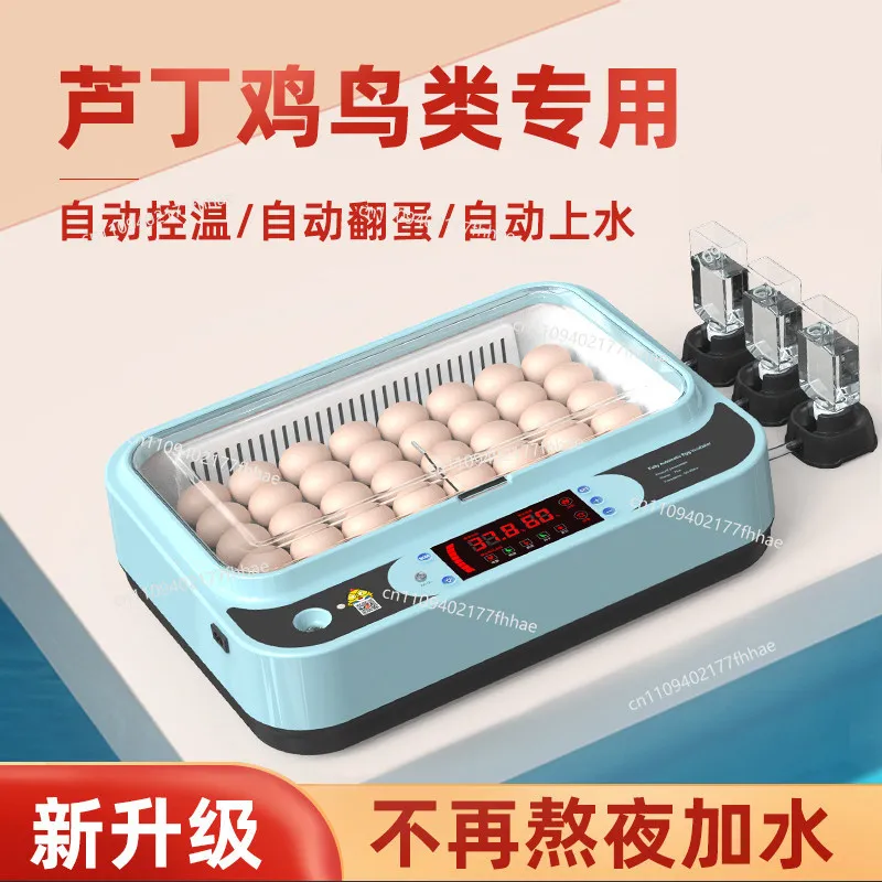 Incubator Small Household Mini Rutin Chicken Incubator Automatic Intelligent Bird Egg Quail Incubator