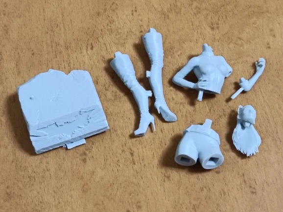 Buyer photo of this resin kit