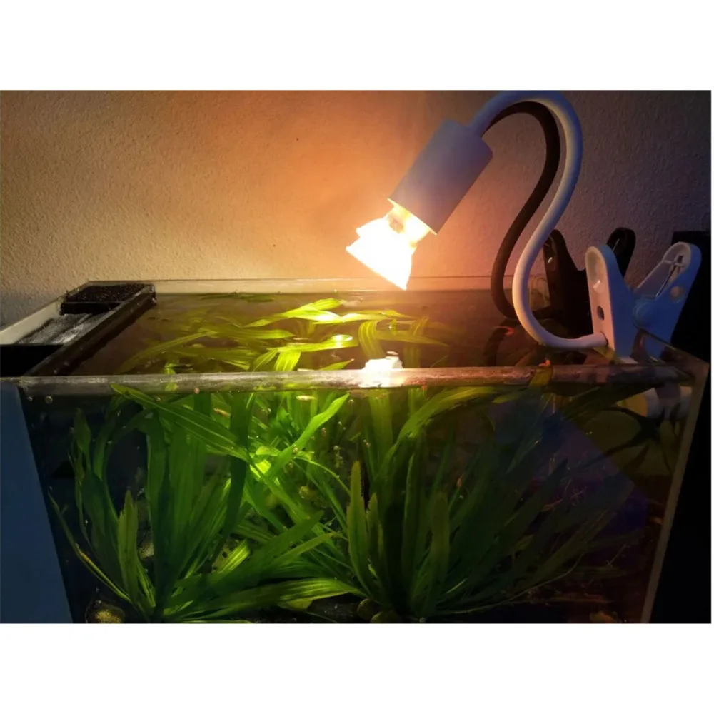 220V Turtle Basking With 25\50\75W UVA+UVB Full Spectrum Sun Lamp Bulb For Tortoise Calcium Supplement Pet Box Lighting