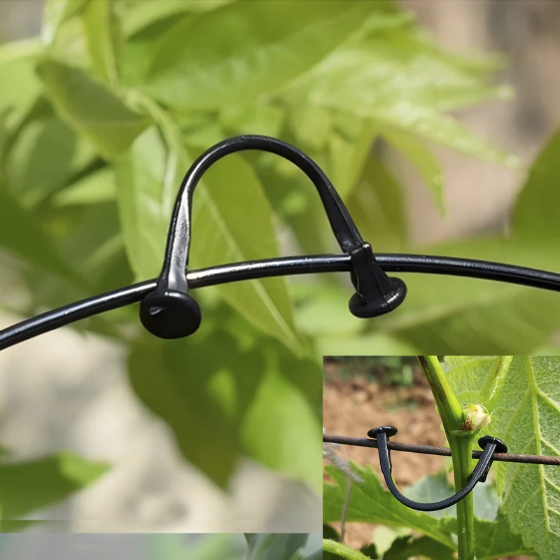 Grape Vine Trellis - Organize Support  Clip Raspberry Fruit Buckles Hooks Vine Clips Grape Ties Garden Grow Ties Tomato Kiwi