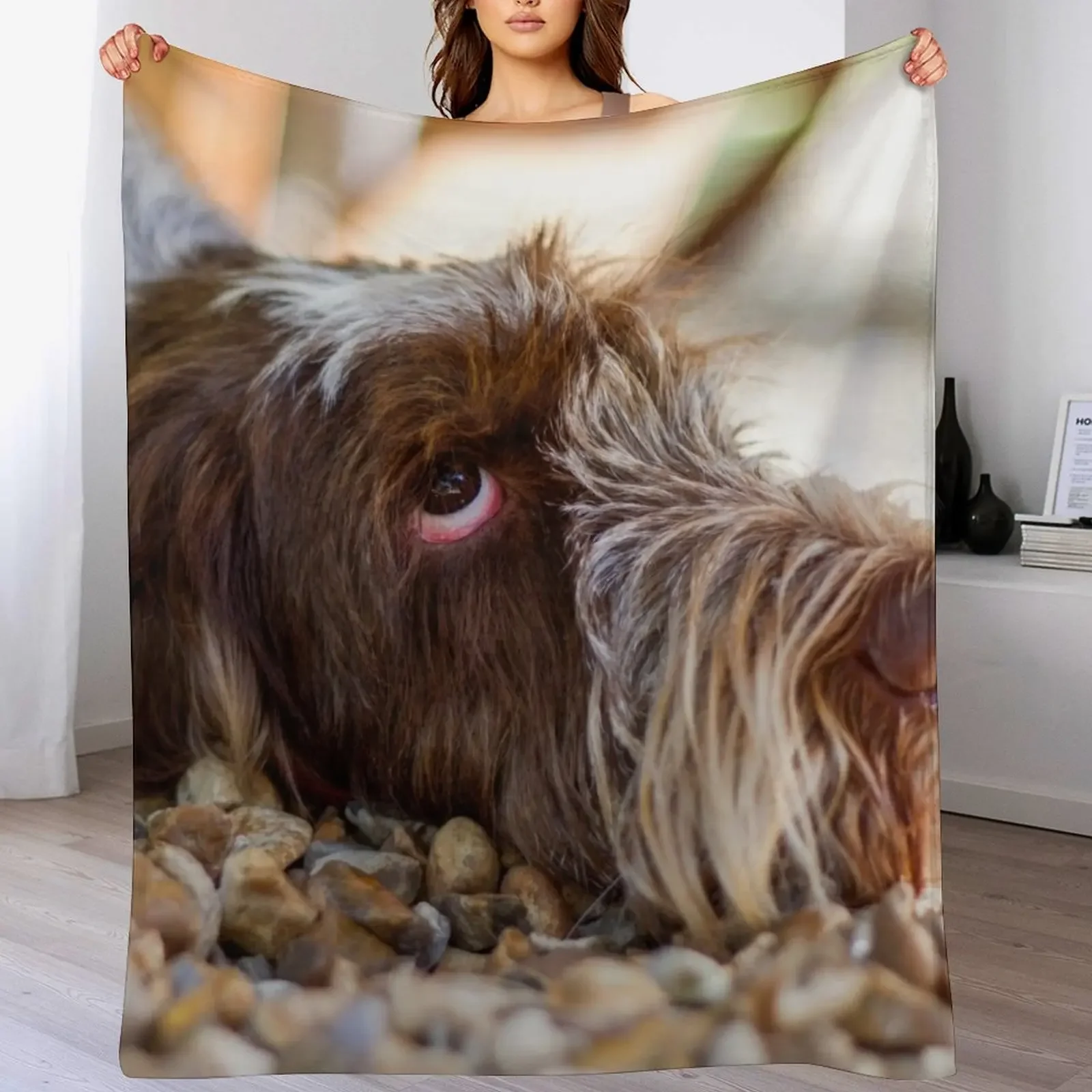 

Looking up Spinone Throw Blanket christmas gifts for babies Sofa Extra Large Throw Blankets
