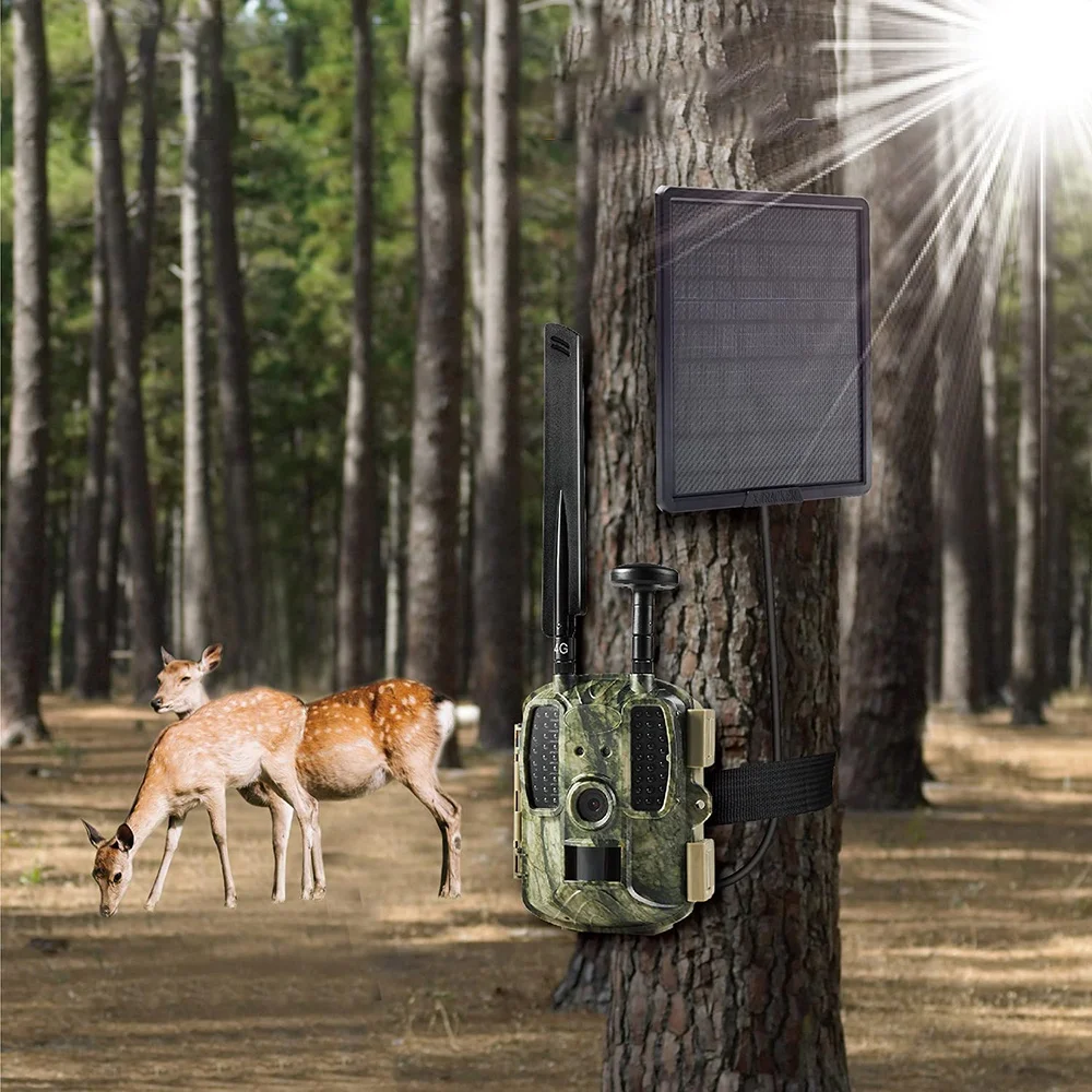 25000mah 10W High Efficiency Charger 12v Solar Panel For Camera Outdoor Solar Panel With Battery For CCTV Hunting Trail Camera