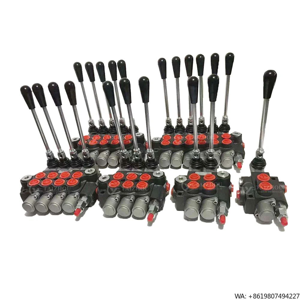 Series Dcv20 Directional Hydraulic Sectional Control Valve for Belarus Tractors Hydraulic Distributor