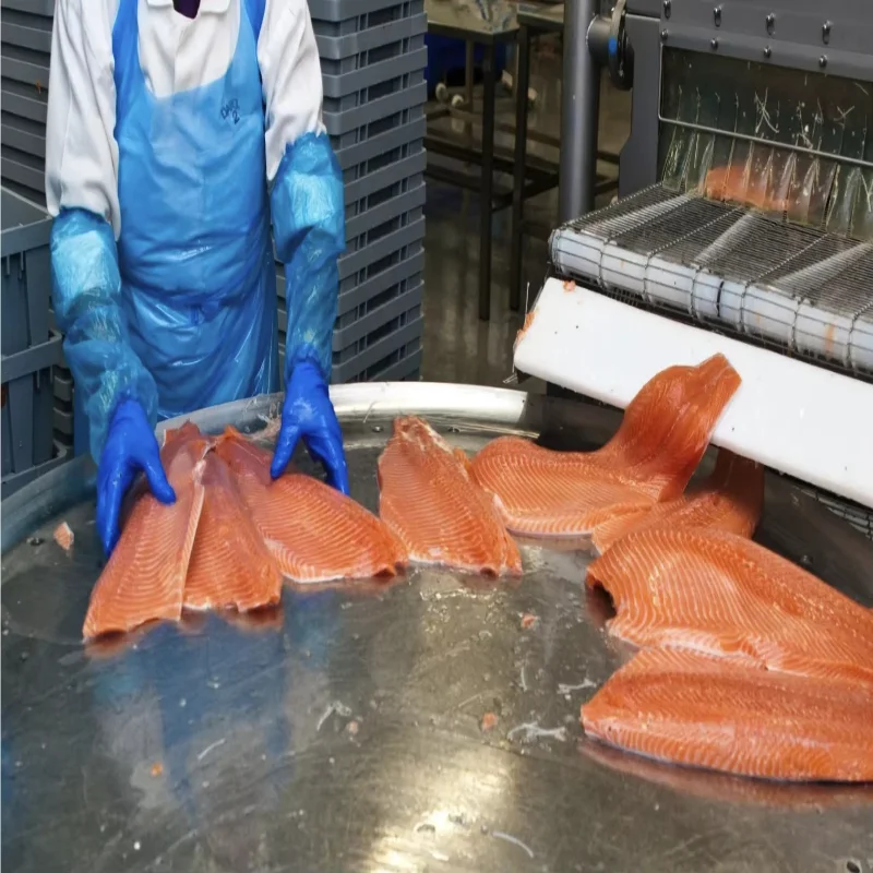 Automatic Salmon Fish Processing Line Customized Seafood Fillet Production Machine Industrial Processing System