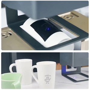 8 Hauptverkäufe Pellets CO2 - №1